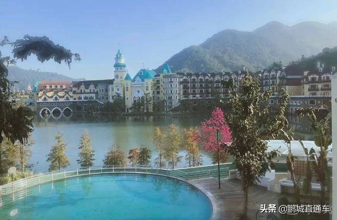 不用去日本就能去的猫岛,不用去日本的海边