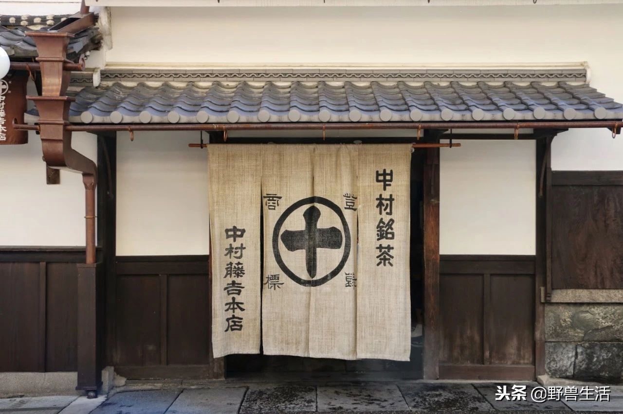 养胃抗衰老刮油的茶,喝这个茶竟能抗衰老