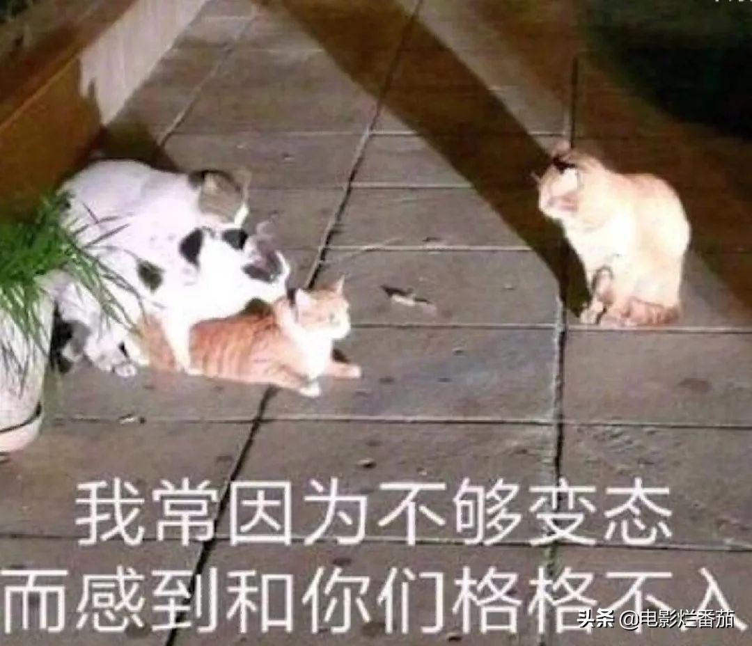 能把一出变态狗血大戏拍得这么清新脱俗的，我服