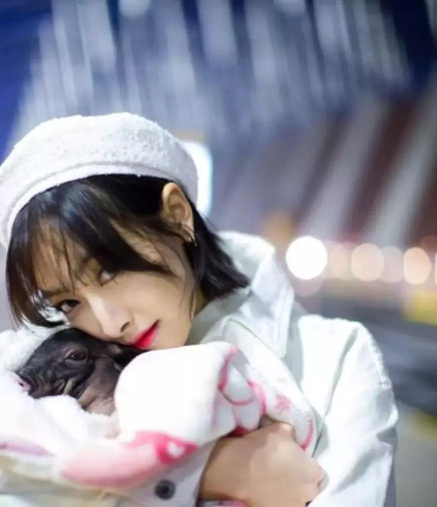 张钧甯戚薇,戚薇张钧甯