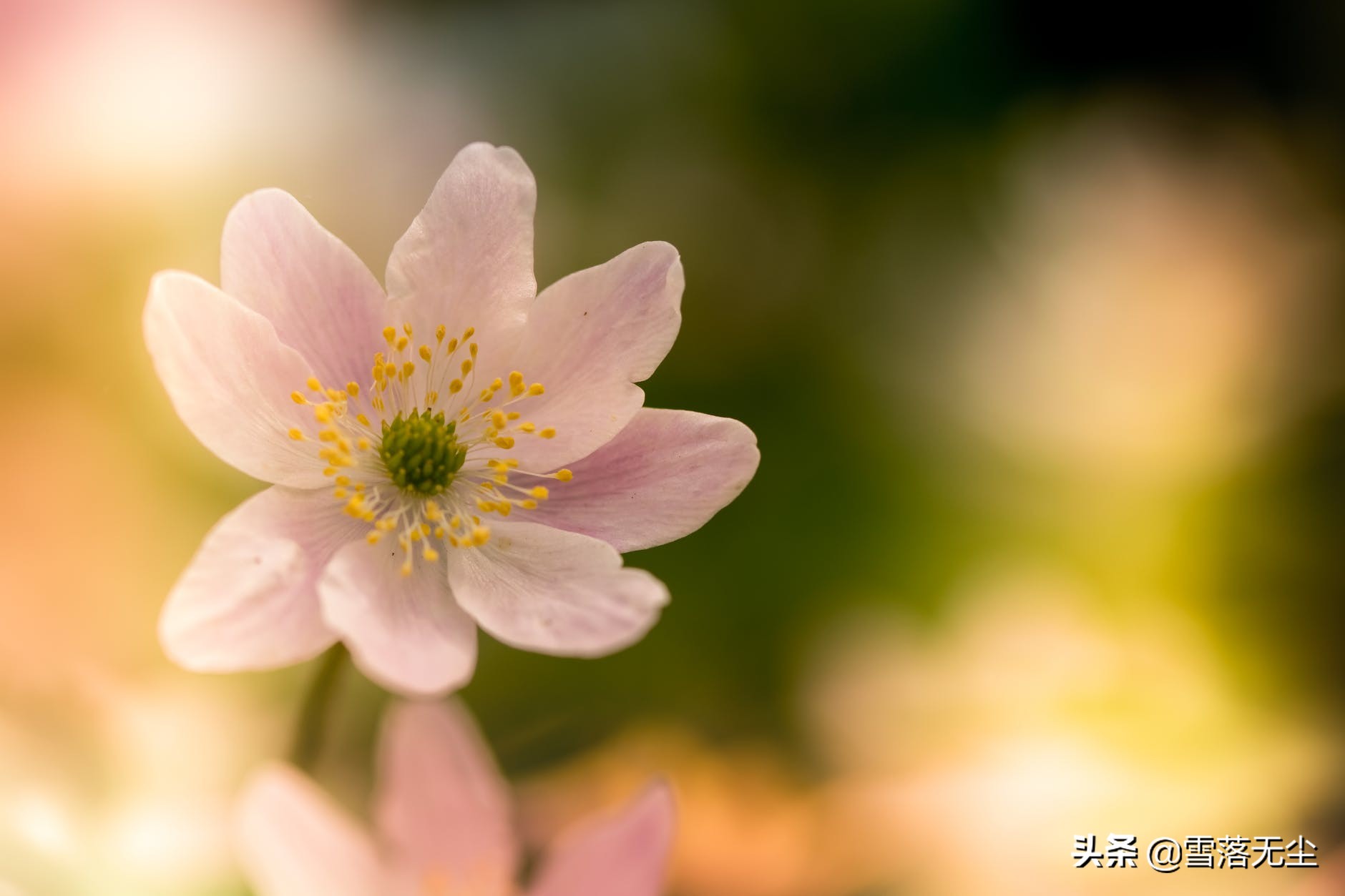 人的好福气从四件小事中来,人一生的福气都藏在这里