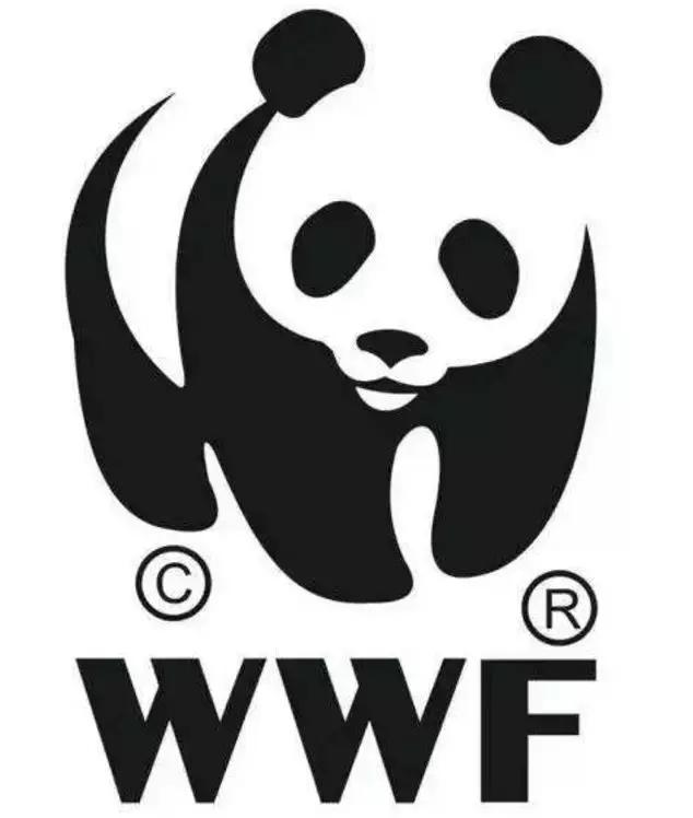 没有熊猫会怎样,比熊猫还濒危的动物中国特有动物