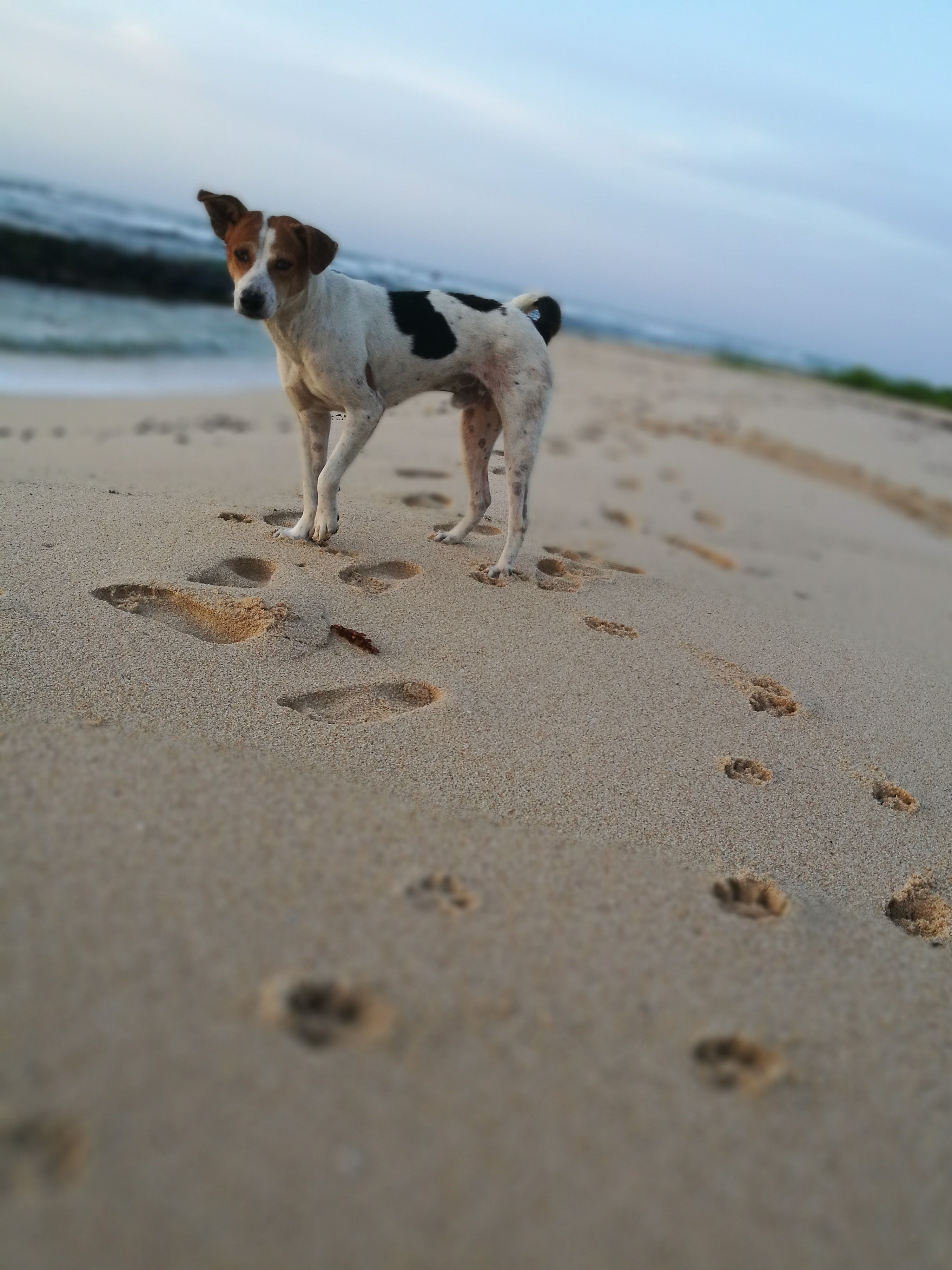 30岁打工人的无奈和感悟,30岁普通打工者的出路有哪些