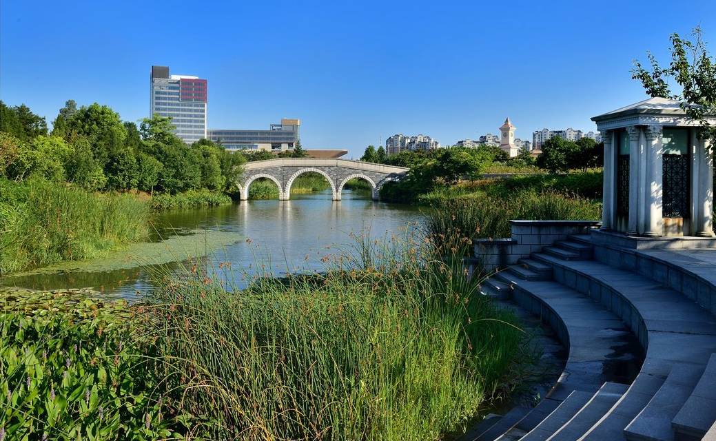 上海打卡的自然风景,上海春天拍照打卡圣地
