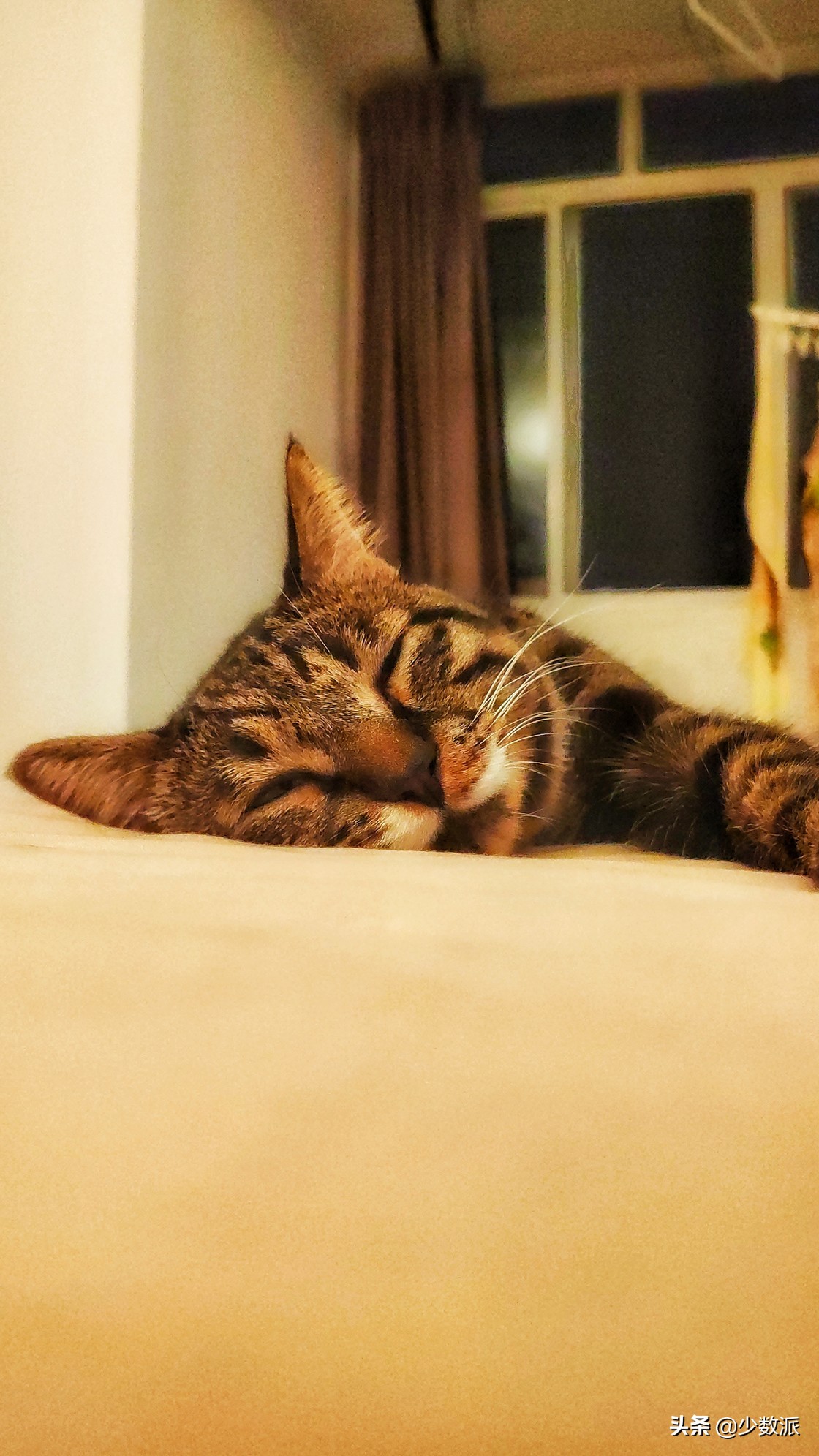 在996夹缝中过上理想的生活