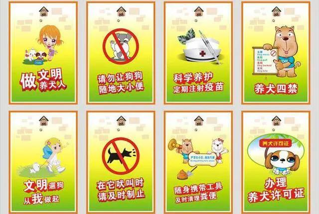 太嚣张遛狗不牵绳还打人已被刑拘,杭州遛狗不牵绳还打人处理结果