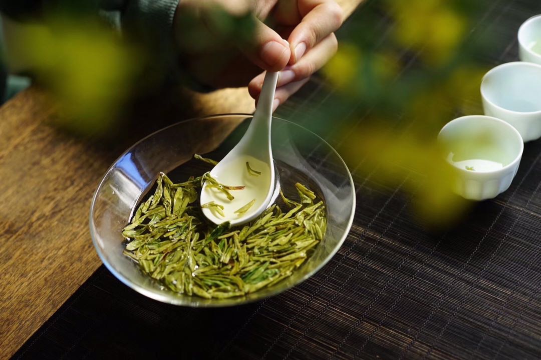 龙井适合哪个季节喝最好,哪个季节的龙井最好喝