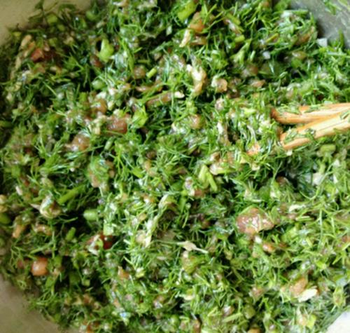 茴香植物闻起来没有味道,茴香植物简介