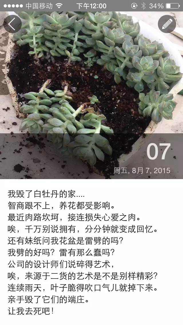 清欢养肉｜优生优育的白牡丹，让你从几片叶子跻身多肉大户