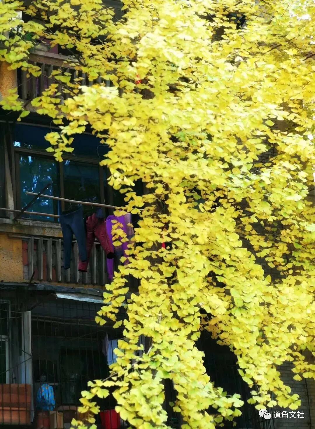 鐏攨濂冲鍘熷敱,鐏攨閲岀殑濂充汉