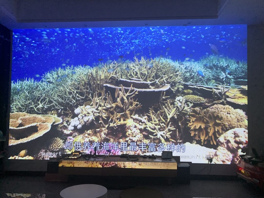 浼樻淳q10q30,浼樻淳q10濡備綍璁剧疆