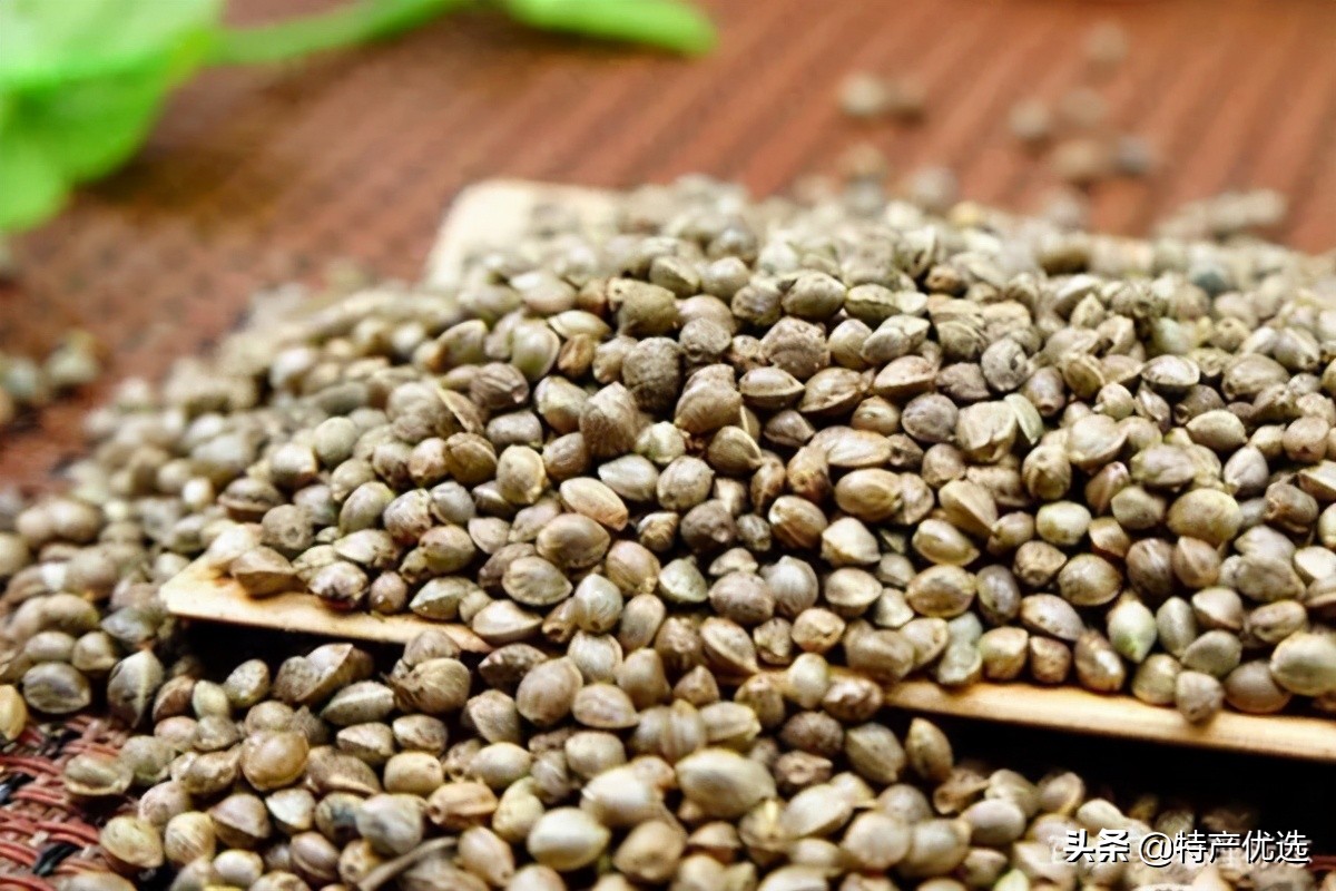 广西巴马特产火麻吃法,巴马火麻汤正宗做法