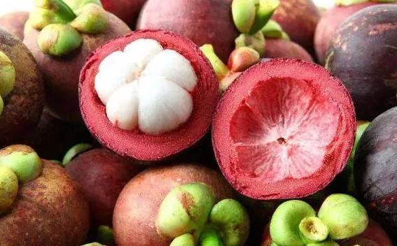 山竹怎么挑选果核少的,山竹怎么挑选公母