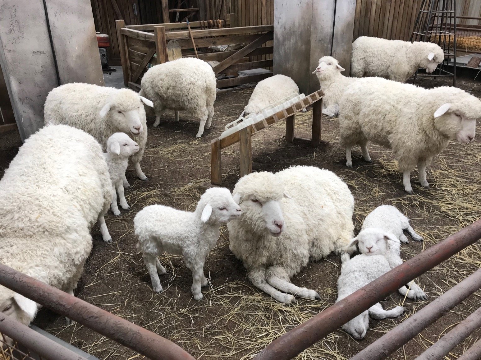 第一次去北京skp奢侈品店,北京skp商场有多疯狂