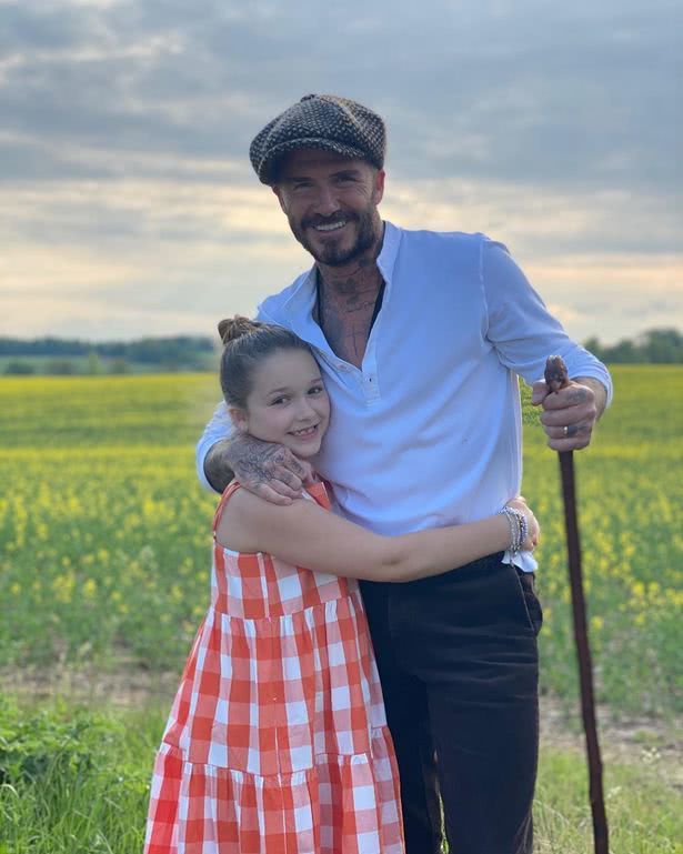 贝克汉姆与女儿小七最新照片,贝克汉姆的小七女儿小时候的照片