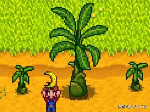 星露谷物语新手入门攻略冬季,星露谷物语新手详细攻略