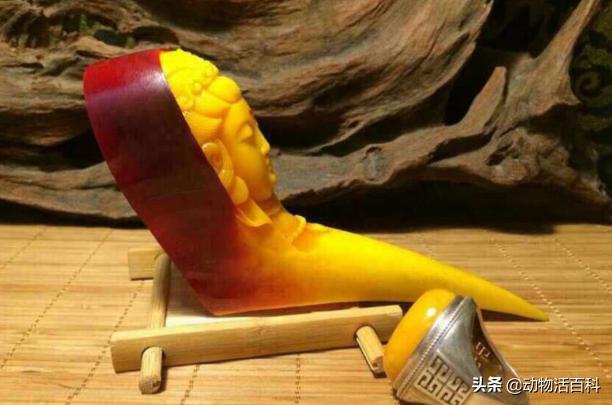 鹤顶红是哪里来的,鹤顶红的未解之谜