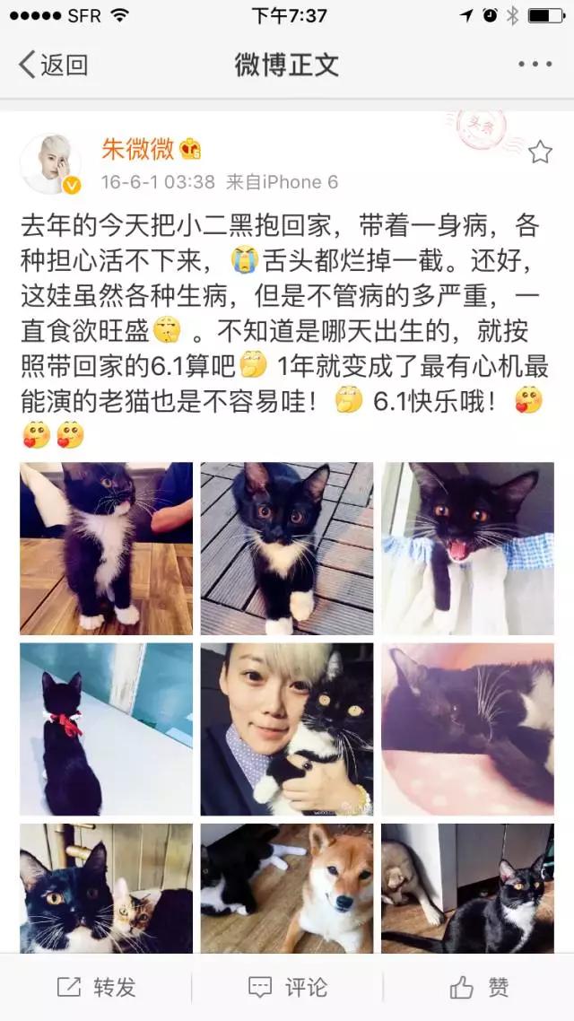 10大赚钱副业摆地摊卖什么最赚钱,做一个摆地摊的姑娘该如何入手