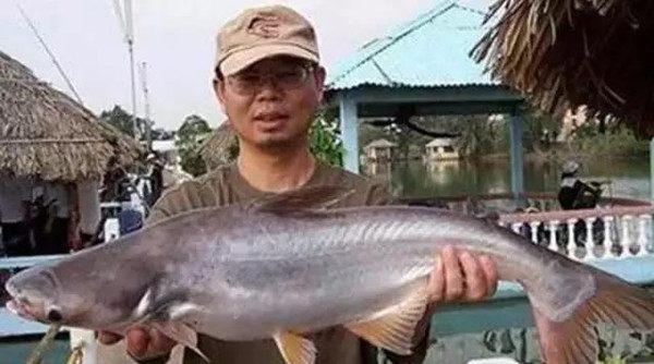 南宁黑坑钓鱼高手排行榜,钓鱼界十大野钓网红