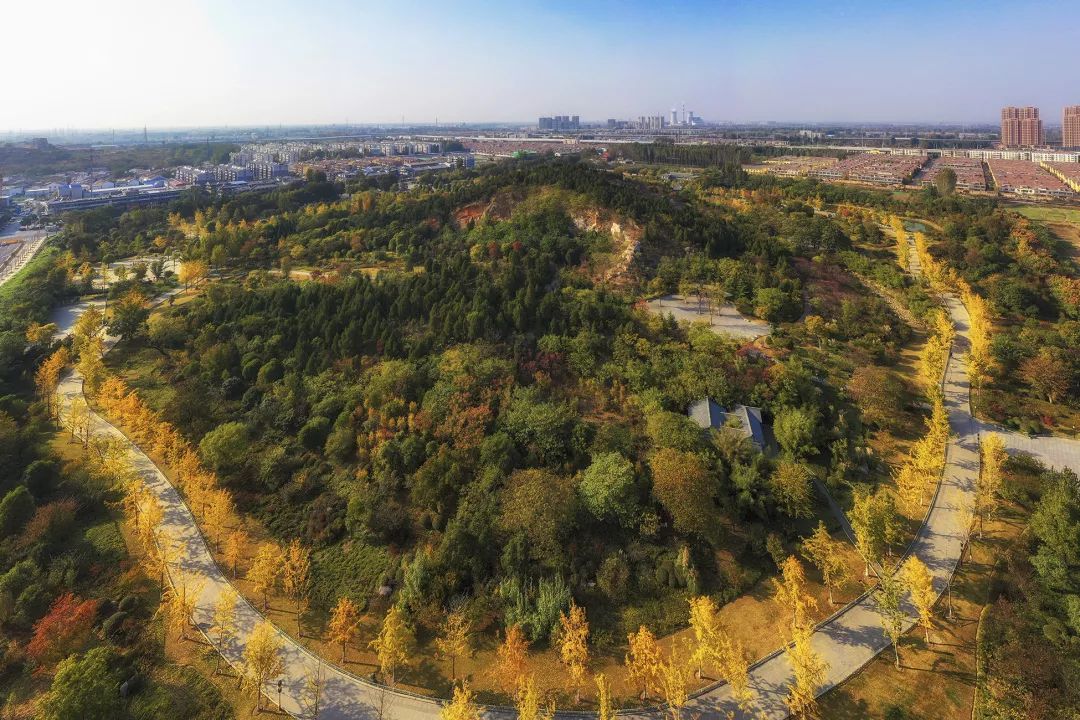 传奇徐州，无问南北