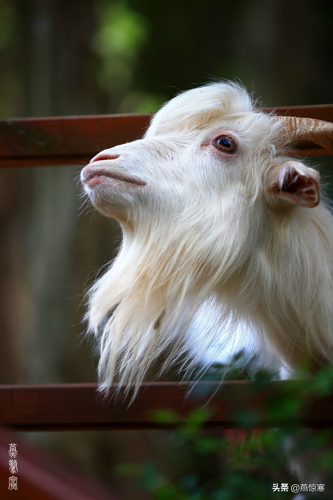 佳能rf24-702.8镜头,推荐几款佳能相机和镜头