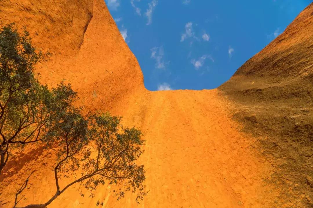 会玩的人一般去哪玩,为什么澳大利亚四面环海