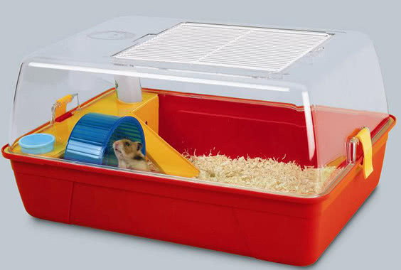 饲养仓鼠怎么选笼子好用,仓鼠冬天笼子可以是铁丝笼吗