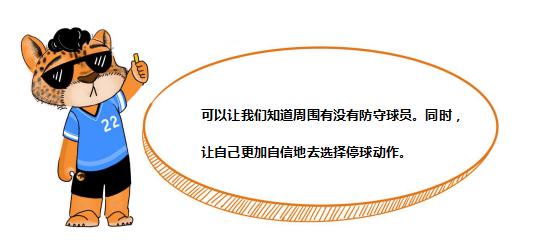 阿豹教学视频完整版,阿豹小课堂