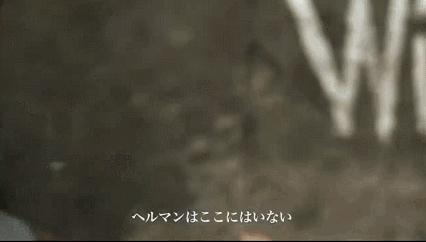 德国二战传奇人物坦克杀手,二战德军十大名人