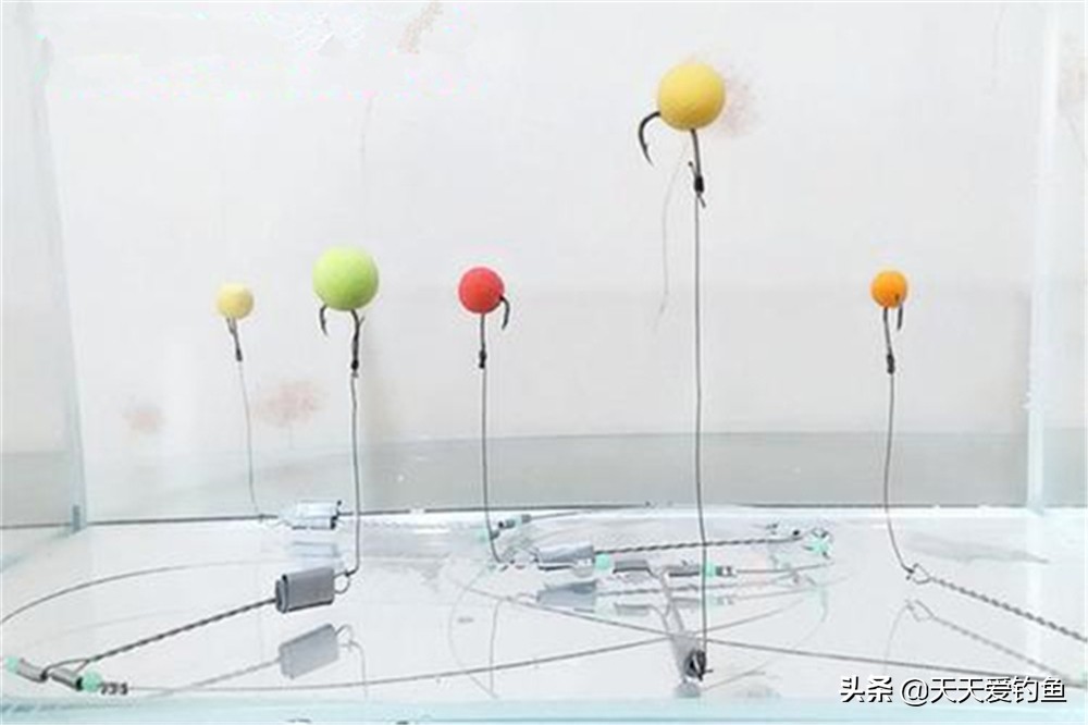 十多度钓草鱼技巧和方法,按照以下几种方法钓草鱼十拿九稳