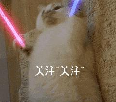 松狮犬为啥不建议养了呢,养松狮犬是什么感受呀
