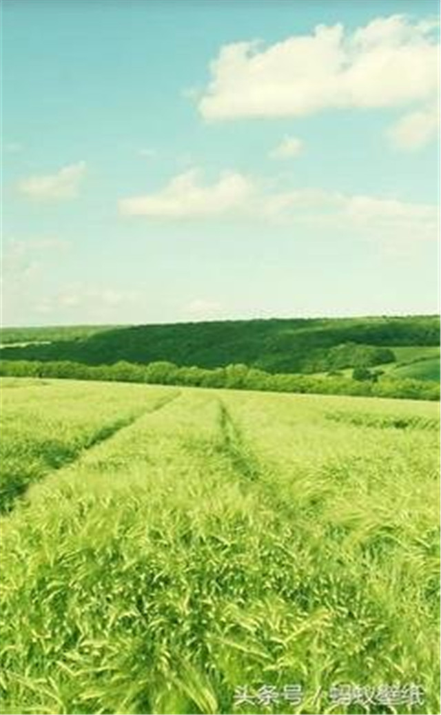 缓解眼睛疲劳壁纸颜色,缓解眼睛疲劳的壁纸高清