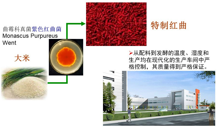 红曲中提取的“血脂康”降胆固醇，吃点儿天然红曲行不行？