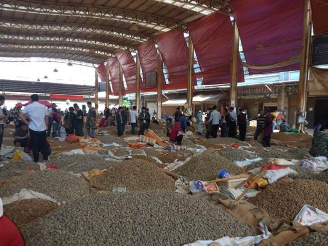 各大药材市场行情价格表,中药材行情玄参价格