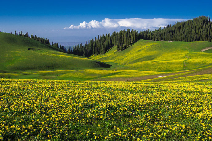 推荐5个国内必去小众旅行地,国内超适合独自旅行的8个小众地