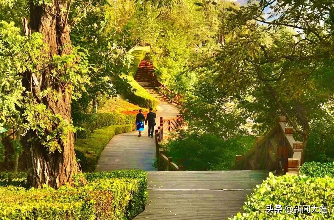 大连野餐必备,大连野餐推荐地点