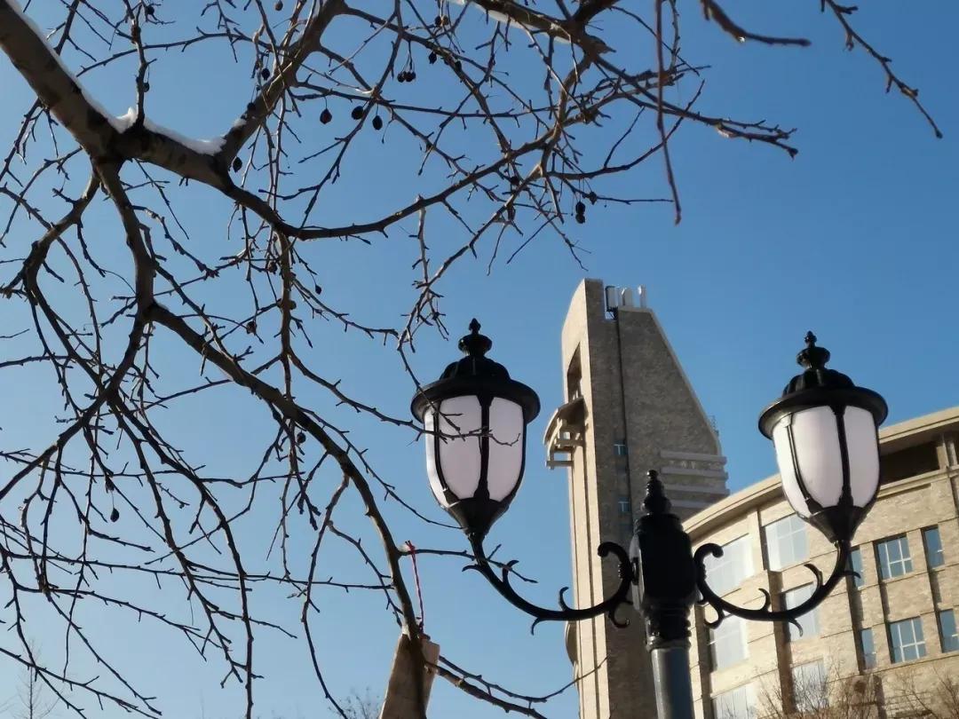 辽宁大连民办大学,大连辽宁二本大学