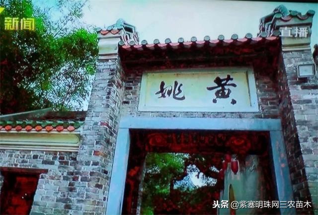 黄姚古镇大黄牛客栈团购优惠,贺州市昭平县黄姚古镇大黄牛客栈