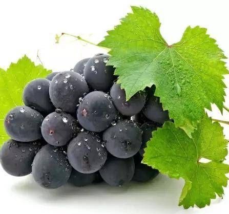 水果杂交冷知识,你不知道的水果冷知识