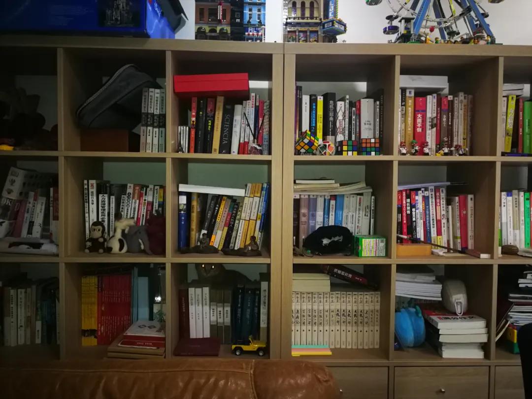 从小养的橘猫还会有野性吗,养橘猫的都是什么人