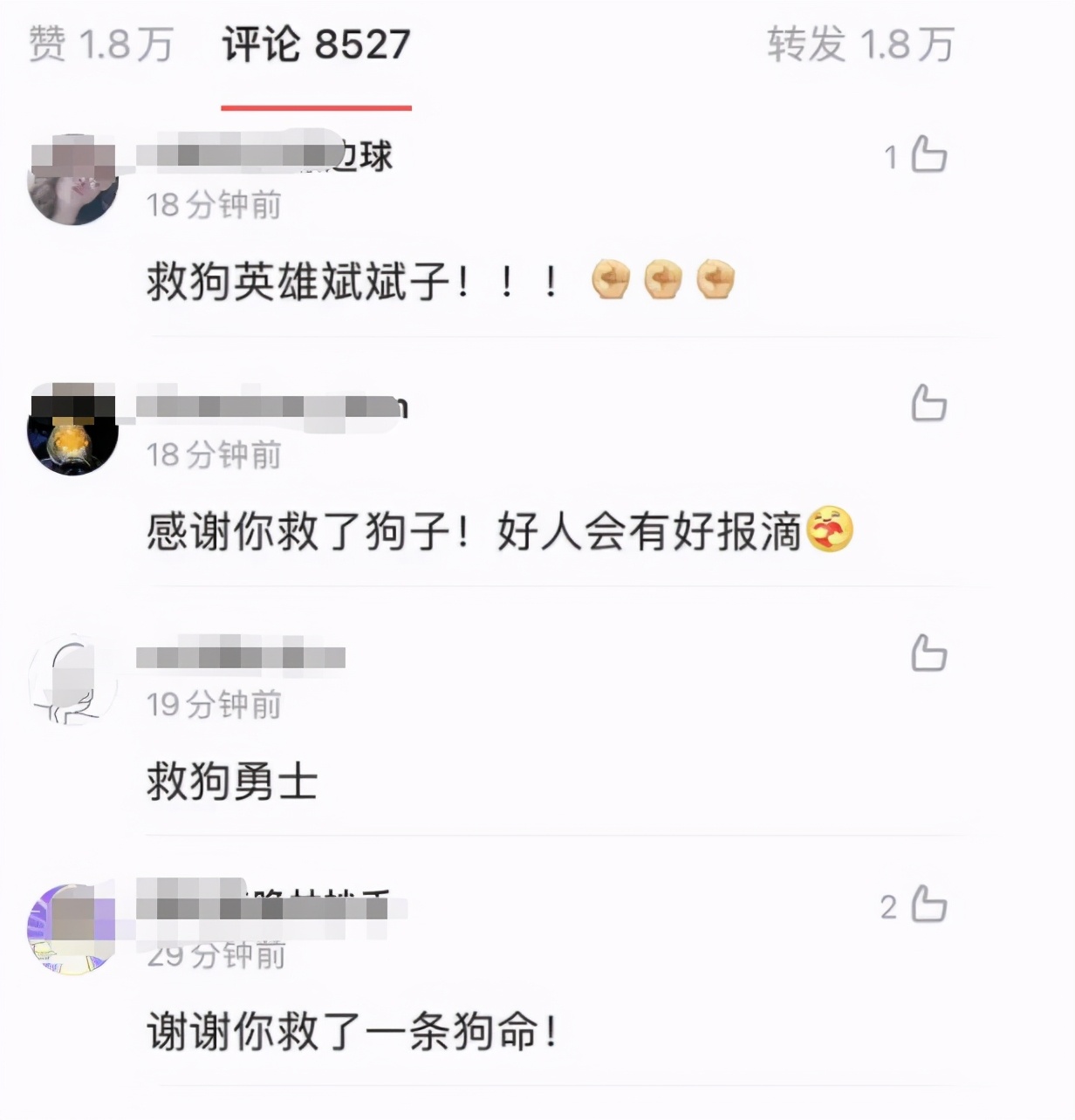 郑爽这次真的彻底凉了
