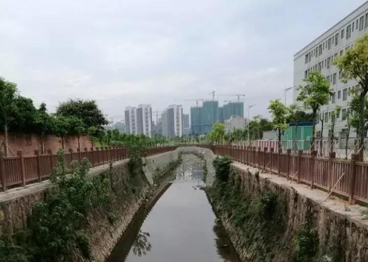 光明这些河流又有新变化，多个好消息密集来报~