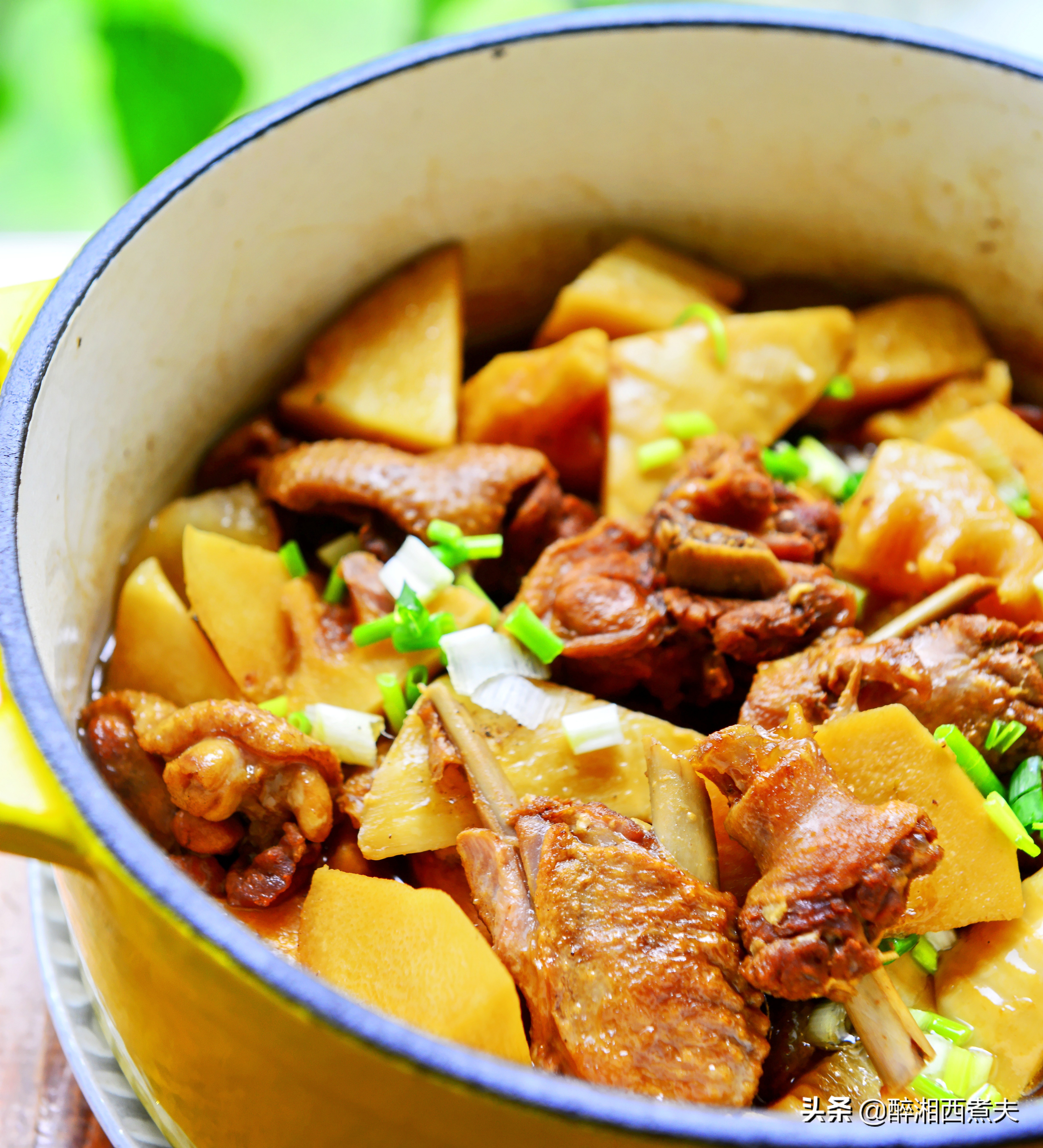 最好的南方竹笋,野生竹笋最好吃的季节