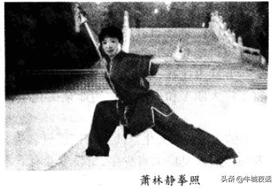 邢台武术学院有几家,邢台市初中武术学校