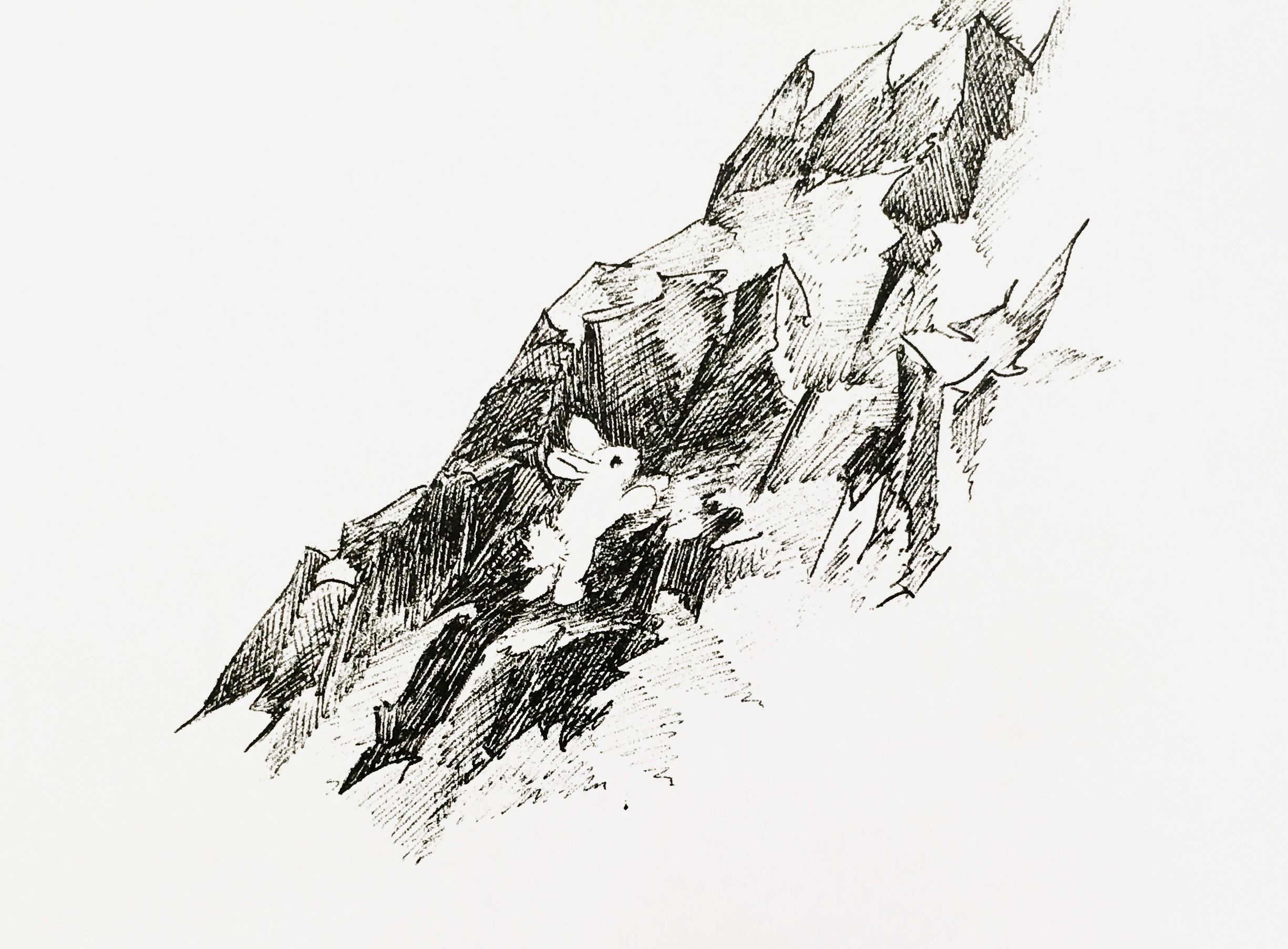 17张一只铅笔就搞定的黑白插画，画风简单，100年来却让人着迷