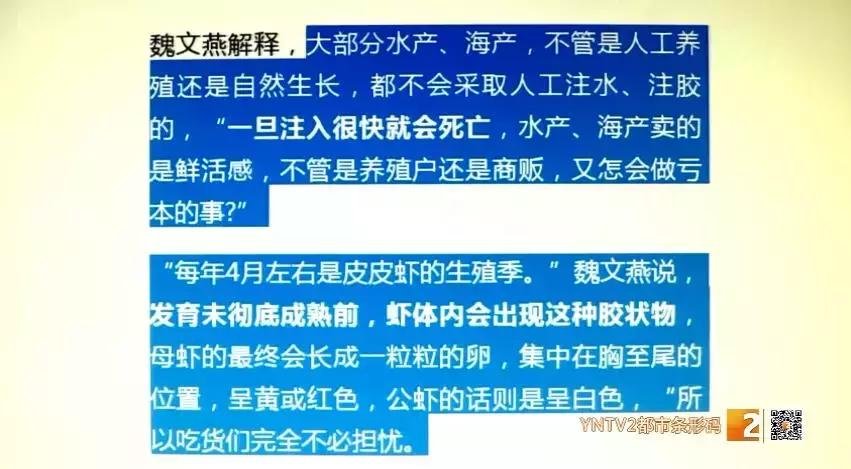 活皮皮虾用盐水泡着会死吗,皮皮虾泡水里几分钟就死了