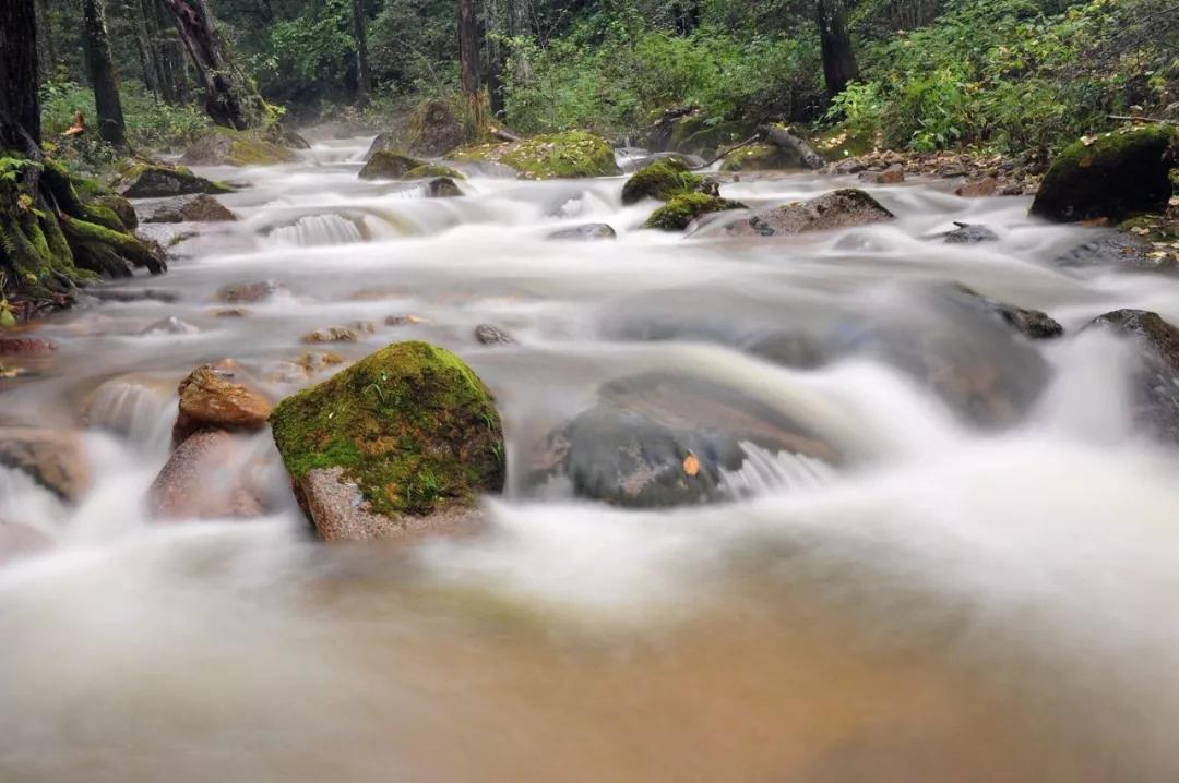 关于描写长江的诗句古诗大全,20首诗词带您领略中华最美长江