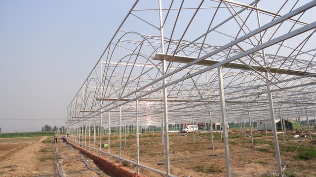 连栋温室大棚价格是多少钱一平方,薄膜连栋温室大棚多少钱一亩
