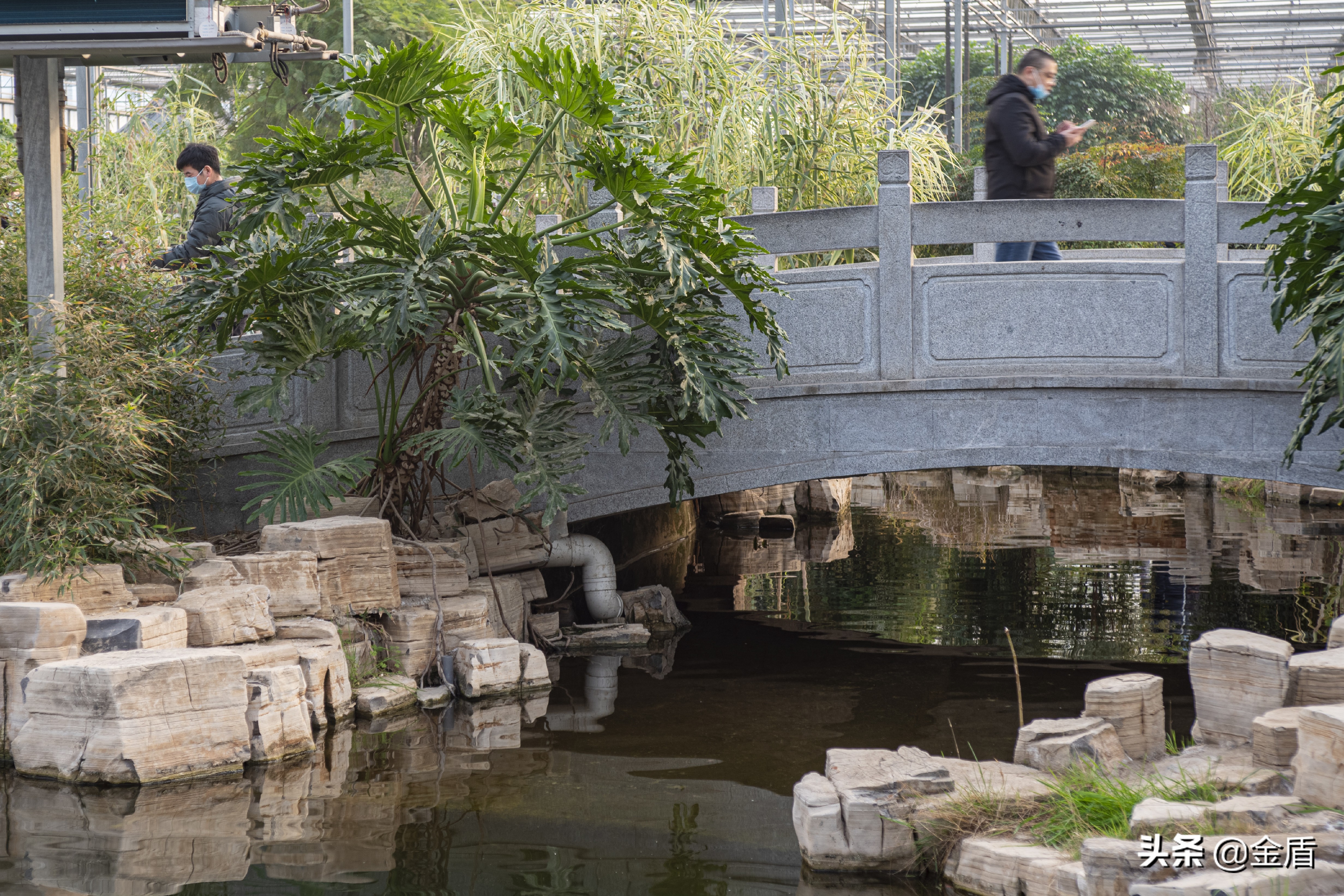 九天休闲谷欢迎您游玩,九天休闲谷适合春天去吗