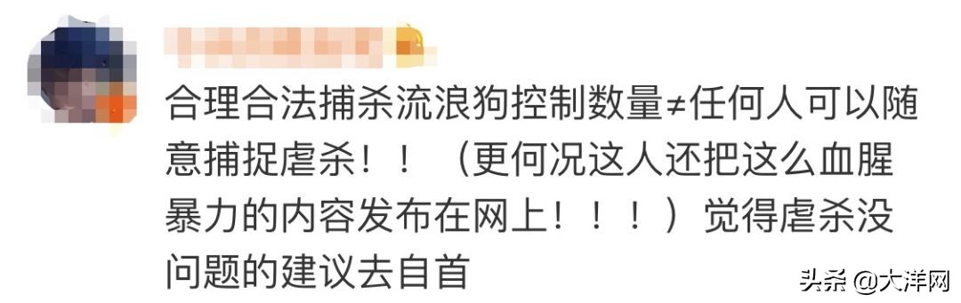 成都理工大学虐狗处理结果,成都理科研究生虐狗事件